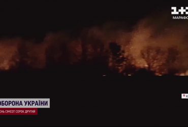 В Киеве горел экопарк: кто-то специально поджег местность