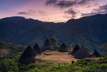 В Индонезии питон съел женщину
