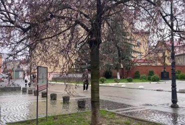 В Мукачево расцвела "безумная" сакура
