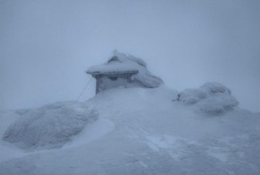 У Карпатах зимова завірюха: намело півметрові перемети (фото)