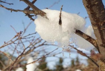 С 15 декабря погода в Украине начнет улучшаться