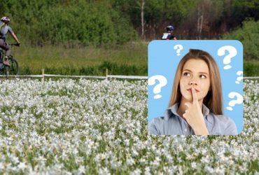 Тільки люди з дивовижним IQ знайдуть лелеку за 9 секунд: оригінальна оптична ілюзія