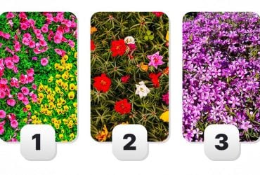 Довольны ли вы своей жизнью на самом деле: интересный психологический тест