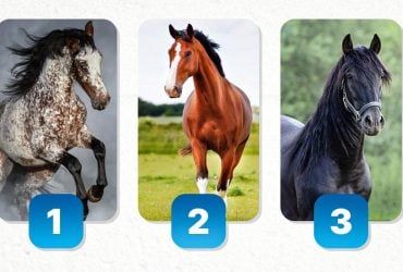 Який ви друг насправді: напрочуд точний тест на дружбу