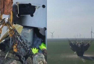 У величезний вітряк влетів російський дрон-вбивця й створив проблему: деталі НП (фото, відео)