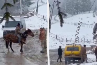 В Черновицкой области мужчины с топорами напали на работников ТЦК и их авто (видео)