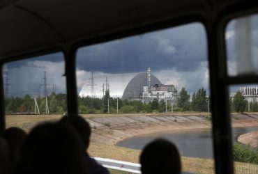 В Чорнобилі вчені знайшли істот, які не постраждали від ядерної катастрофи: в чому причина