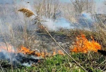 РФ начала применять БпЛА с зажигательной смесью: что известно