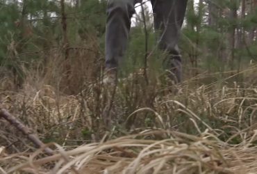 Загадочное исчезновение: 17-летняя студентка исчезла в лесу, ее ищут уже месяц