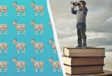 Чрезвычайно сложная оптическая иллюзия: надо найти странную козу среди 80 других за 10 секунд