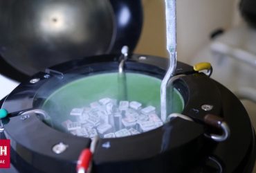 Правки к скандальному закону: репродуктивные клетки погибших бойцов можно использовать
