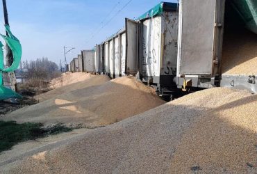 Посол Польши признал, что случай с высыпанным украинским зерном в Котомеже был диверсией