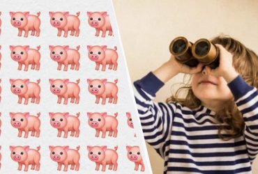 Напрочуд складна головоломка: треба знайти дивне порося серед 108 інших за 8 секунд