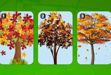 Як ви справляєтеся зі стресом насправді: тест на рівень тривожності