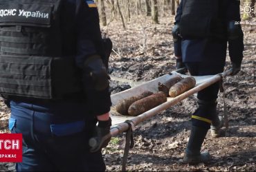 Загроза із минулого на Волині: рятувальники знешкодили артснаряди часів Другої світової війни