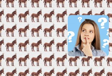 Неймовірно складна головоломка: знайдіть дивака за 10 секунд