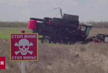 Знову стають безпечними: поля на Київщині розміновують