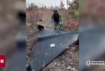 В лесу в Винницкой области нашли почти целый российский "Шахед"