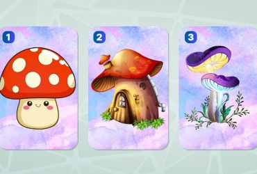 Забавный психологический тест: выбранный гриб расскажет, как вы мыслите в жизни