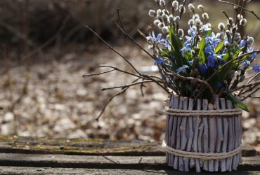 Синоптик Диденко сообщила, какая погода будет в Украине на Вербное воскресенье