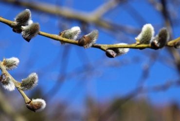 Синоптик рассказал, когда погода в Украине улучшится