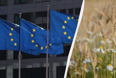 Пять стран призвали Еврокомиссию запретить импорт зерна из России и Беларуси