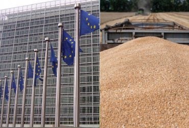 Три страны ЕС пошли наперекор Брюсселю из-за торгового соглашения с Украиной