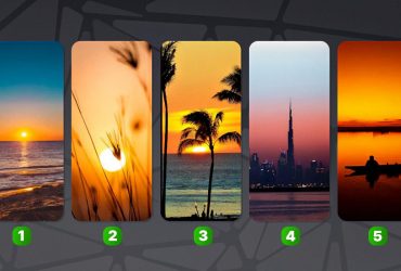 Яка у вас найсильніша риса характеру: тест за картинками