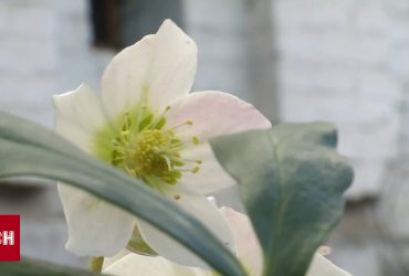 Сегодня на большинстве территорий ожидаются дожди, а уже завтра потеплеет