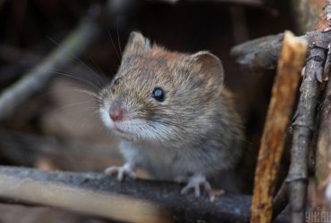 Холод не збирається залишати Україну: синоптик розповіла про погоду на 14 травня