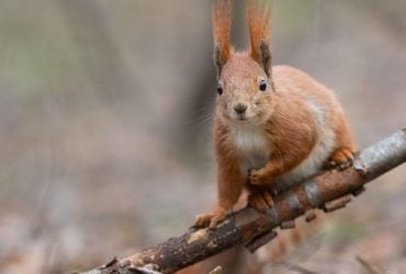 Сегодня киевлян ждет самый холодный день недели