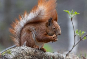 Погода покращується: сьогодні Київ охопить 20-градусне тепло