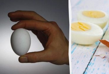 Why the yolk turns green and how to cook the perfect hard-boiled egg: you didn’t know it
