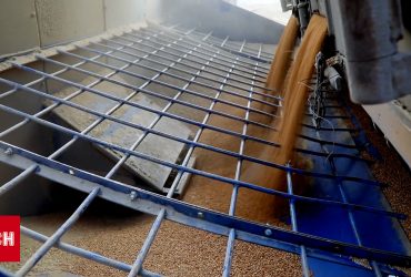 Дві країни проти українського зерна: хто у ЄС хоче обмежити імпорт з України