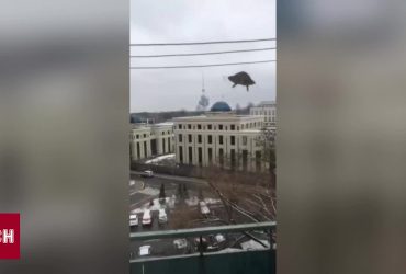 СБУ задержала двух корректировщиков ракетных ударов