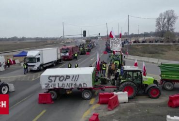 Нові перешкоди: євросоюз може посилити обмеження на український агроімпорт