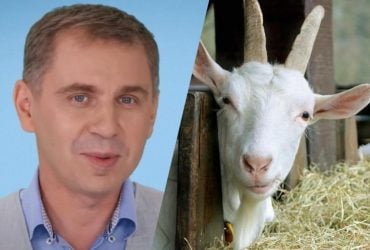 What does the phraseological unit scapegoat mean: Avramenko dug very deep