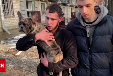 У Мережі з'явилось щемливе відео, як жителі Харкова рятують чотирилапих після атаки