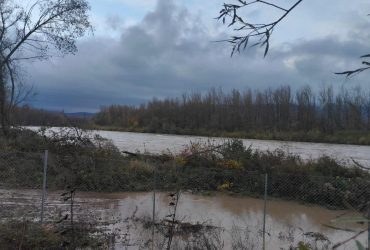 На березі Тиси планують побудувати річковий порт: в ОВА розкрили плани