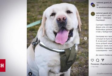 Військового зі службовою собакою не пустили у потяг? Скандал чи хтось щось перекрутив?