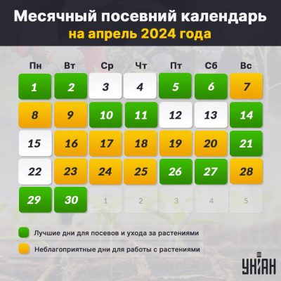 Работы в саду и огороде в апреле