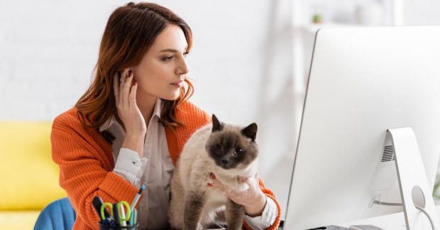 в службі зайнятості розповіли про "революційні" зміни у працевлаштуванні