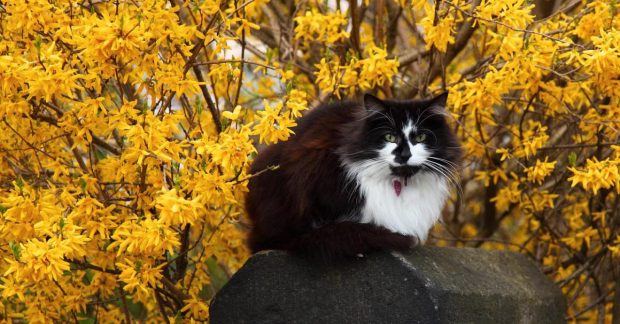 Синоптик дав надію на потепління в Україні: коли температура почне підвищуватись