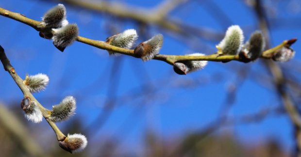 Синоптик розказав, коли погода в Україні покращиться