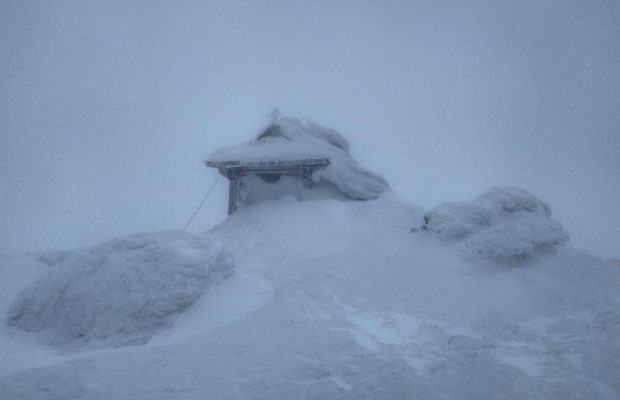 У Карпатах зимова завірюха: намело півметрові перемети (фото)