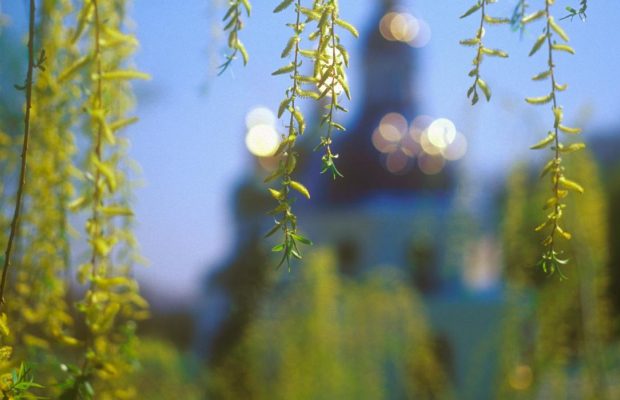 22 апреля: церковный праздник сегодня, какой образ поставить у входа, чтобы защитить дом