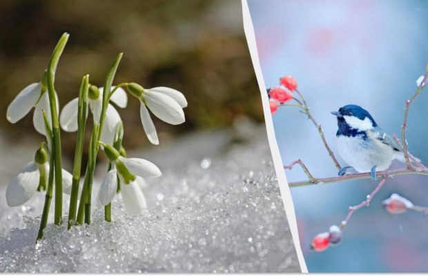 Народне свято 23 березня: обряди та прикмети на щастя в сьогоднішній день