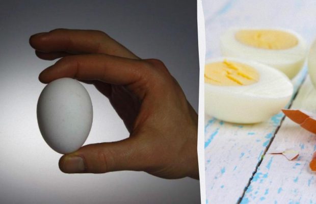 Почему желток зеленеет, и как приготовить идеальное яйцо вкрутую: вы этого не знали
