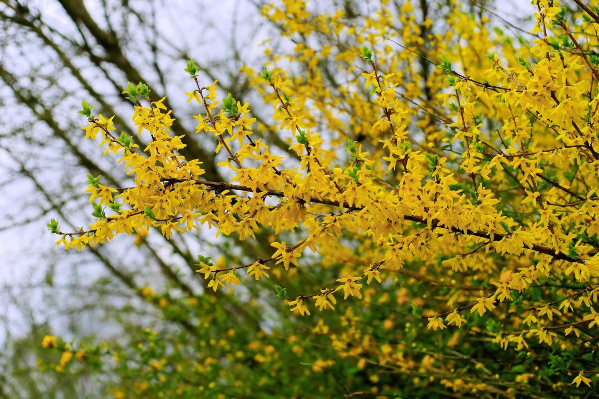 https://images.unian.net/photos/2024_04/1711959948-9467.jpg?r=439671
