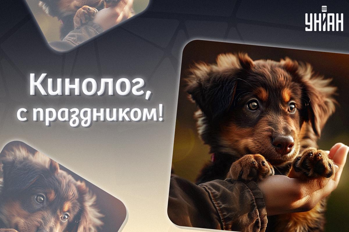 Открытка День кинолога / УНИАН Открытка День кинолога / УНИАН